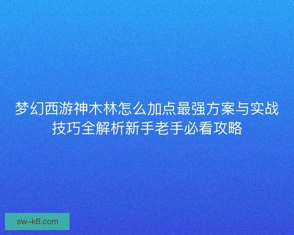 梦幻西游神木林怎么加点最强方案与实战技巧全解析新手老手必看攻略